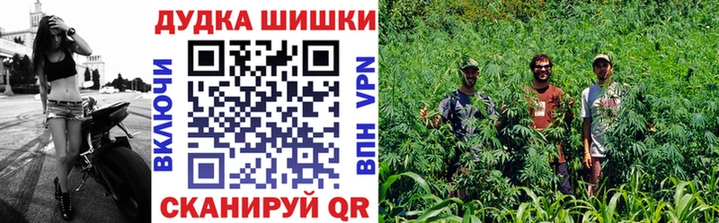 Канабис AK-47  где можно купить   мега ONION  Тавда 